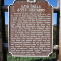 Gay Mills
